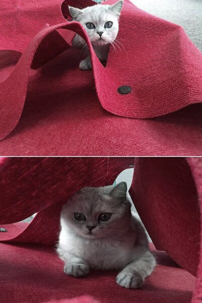 UTKU TASARIM Locy Cat Tunnel Functional Pet Toy Large Size Cat Bed