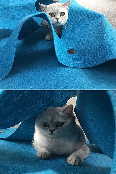 UTKU TASARIM Locy Cat Tunnel Functional Pet Toy Large Size Cat Bed