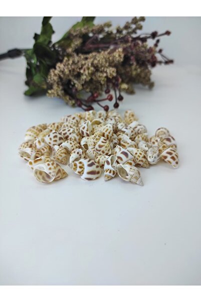 Bride Aksesuar Dünyası Cochilie de stridie cu pete maro crem închis – Mărgele