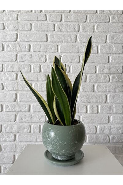 odka 8litre Küre Saksı Tabaklı Yükseklik:16cm Çap:18cm Mint Yeşili Mermer Des...