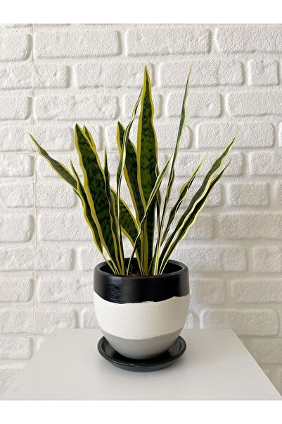 odka 8litre Saksı Tabaklı Yükseklik:17cm Çap:19cm Siyah-beyaz-granit