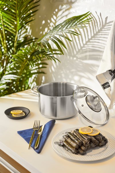 Emsan Steel Force Deep Pot 24 Cm