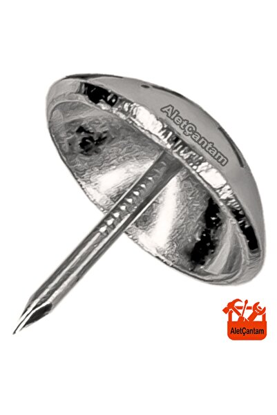 ALETÇANTAM Kabara Parlak Raptiye Büyük Boy 100'lü Paket