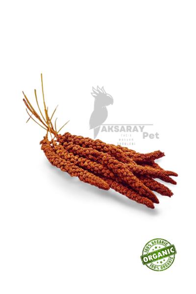 AKSARAYPET Doğal Kızıl Dal Darı 100gr