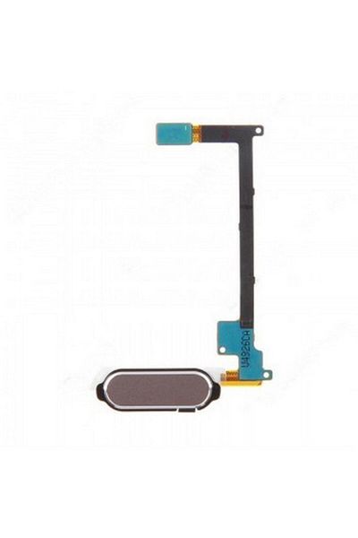 tekyerdenal Samsung Galaxy Note 4 N910 Compatible Home Key Piping Film Gold