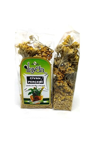 İlayda Civan Rivet Herb