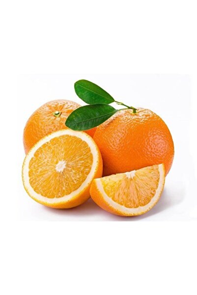 Finikeden Finike Portakalı 1 kg