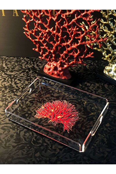 Queen Bee İstanbul صينية شبكية منقوشة على شكل مرجان بطن مقاس 30 × 22 سم