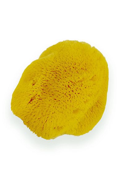 BAZAAR 4 Mediterranean Sea Sponge (Unpressed) 008