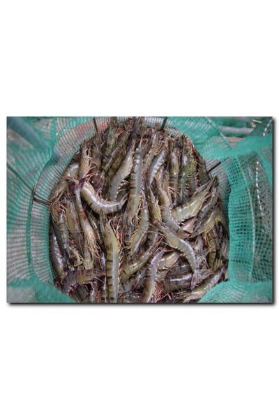 La Vita e Bella Karides Görselli Kanvas Tablo Dz-1013