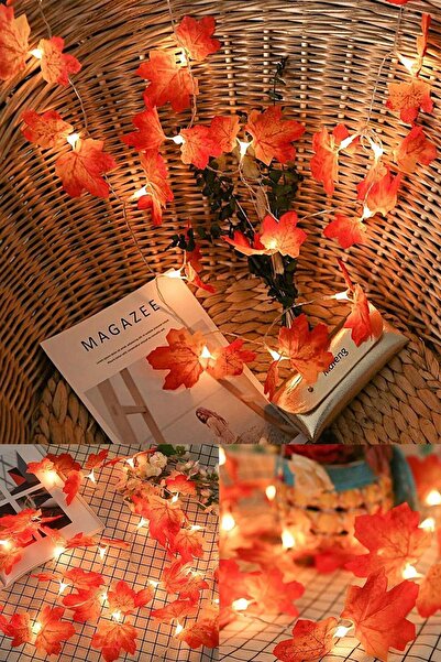 TechnoSmart 20'li Sonbahar Konseptli Dekoratif Yaprak Şerit Led Işık Günışığı