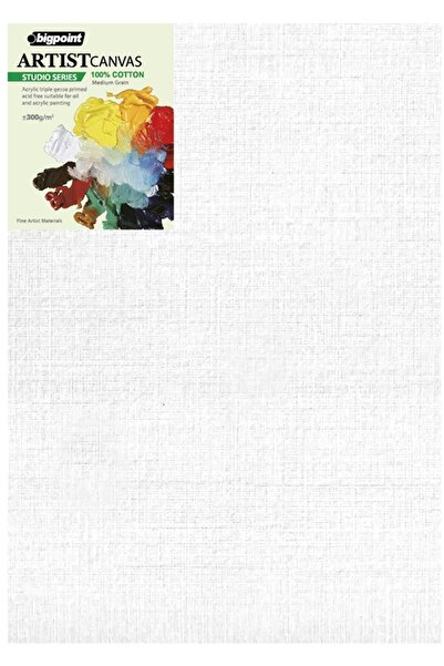 Bigpoint Studio Tuval 50x70cm - 300gram