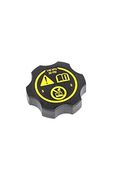 GM Chevrolet Cruze Opel Insıgnıa Corsa D Astra J K Mokka Yedek Su Deposu Kapa...