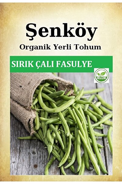 Şenköy Sırık Ince Çalı Fasulye Tohumu Doğal Ata Kılçıksız Sırık Ince Fasulye ...