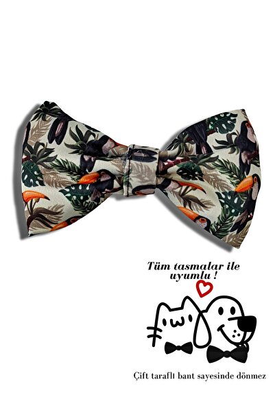 UTDpet ربطة عنق للكلاب والقطط من توكو (بدون مقود)