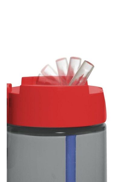 Herevin 430 Cc Patterned Flask with Straw