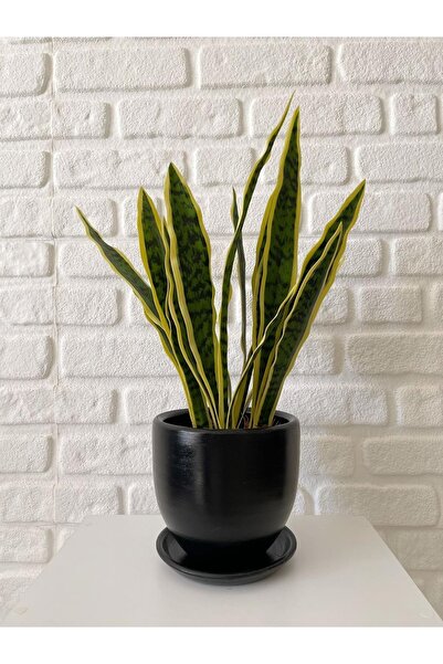 odka 8litre Saksı Tabaklı Yükseklik:17cm Çap:19cm Siyah