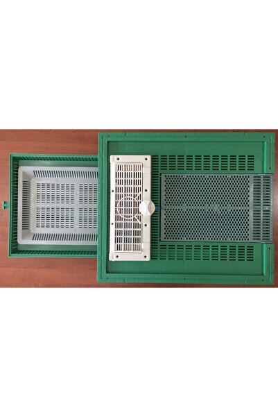 Ak Arıcılık Kovan Tabanı Yeşil 10luk Paket