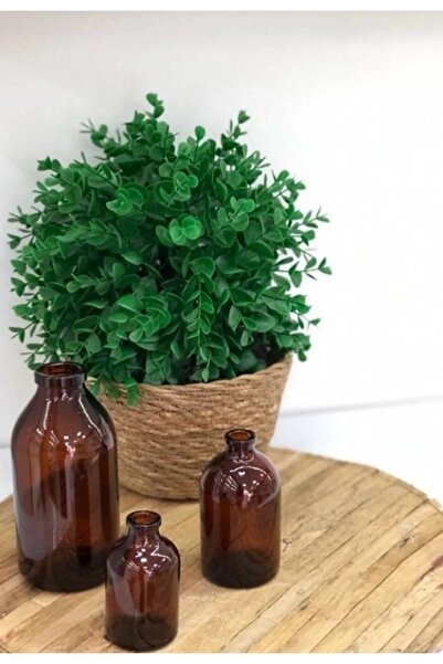 Lalisa Home Amber Kahverengi Cam Vazo 50ml 100ml 300ml Üçlü Set 3lü