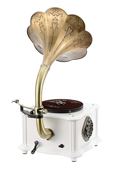 Record Master Rmj-209c Gramofon Pikap Radyo Bluetooth Usb 33 45 Devir Plak Çalar