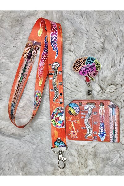 Hediyebum Boli ale nervilor coloanei vertebrale ale creierului - Suport pentr...