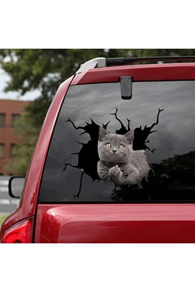 TSC Araba Arka Gri Kedi Sticker Yapıştırma 17cm A8