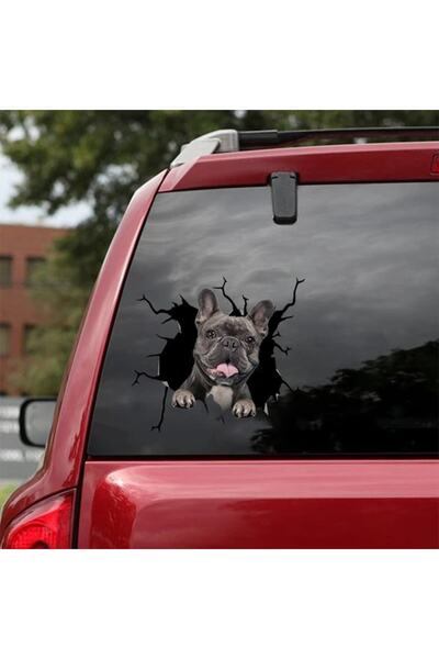 TSC Araba Arka Cam Köpek Sticker Yapıştırma 17cm A3