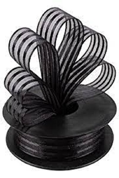 Evsay Chiffon Striped Ribbon 20 Mt 2.5 Cm