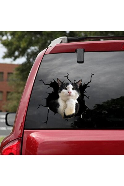 TSC ملصق على شكل قطة للنافذة الخلفية للسيارة مقاس 17 سم مقاس A8