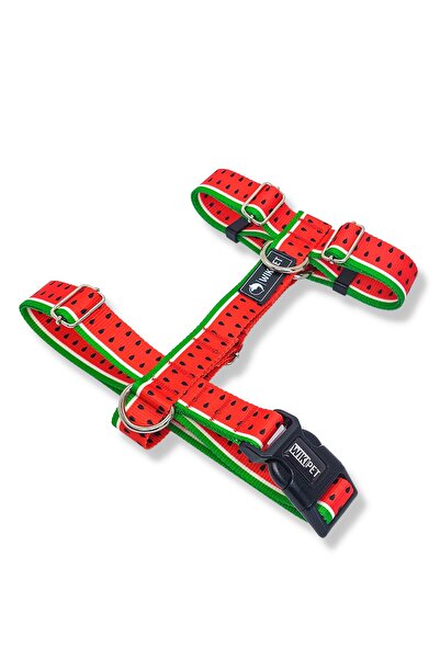 Wikipet Sandia Köpek Tasma Seti