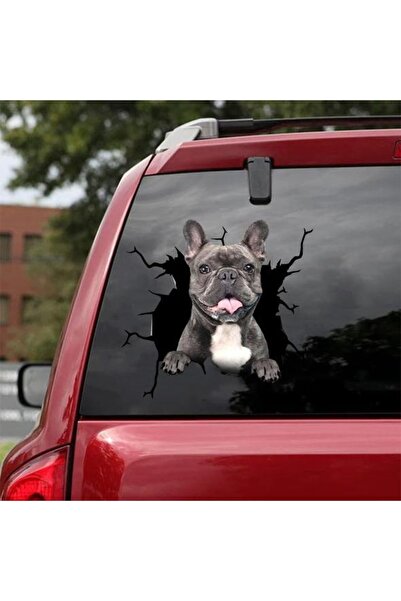 TSC Araba Arka Cam Köpek Sticker Yapıştırma 17cm A6
