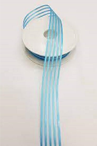 Evsay Chiffon Striped Ribbon 20 Mt 2.5 Cm