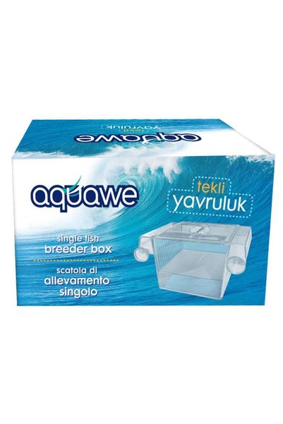 AQUAWE Single Boyhood