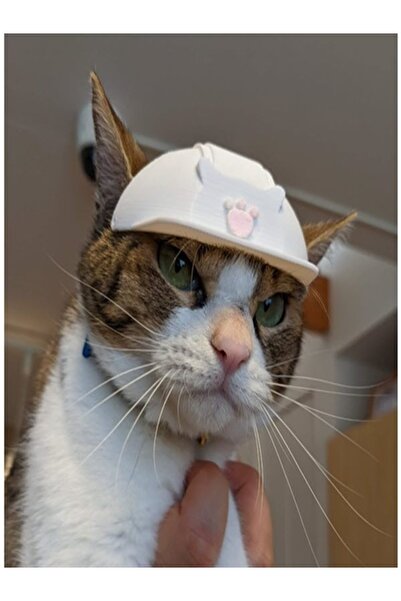 Owl Global قبعة قطة لطيفة (يمكنك ترك تعليق للون الاختياري)