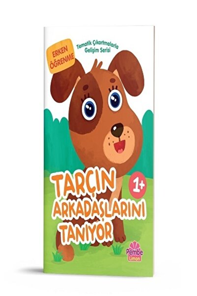 Dikkat Atölyesi Yayınları Tarçın Arkadaşlarını Tanıyor 1+ Yaş Tematik Çıkartm...