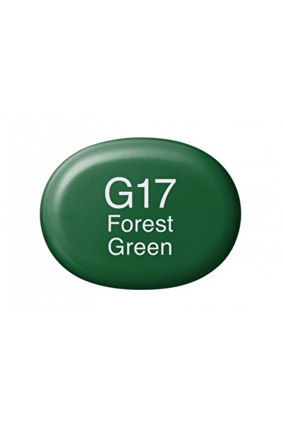 Copic Sketch Marker Pen G17