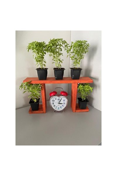Bahat Wooden Decor Wall Hanging Table Top Wall Flower Pot