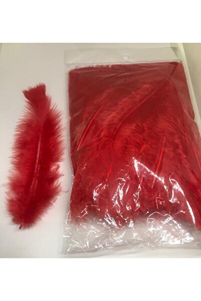Tekstil Aksesuarları Κόκκινα φτερά πουλιών 100 τεμαχίων