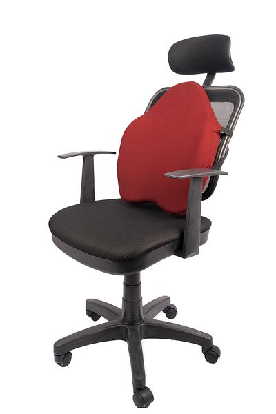 Viscomina Visco Waist Cushion Back Cushion Auto Vehicle Cushion Chair Cushion (orthopedic Product) burgundy Color