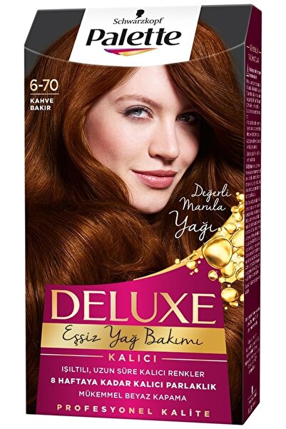Palette Deluxe Saç Boyası 6-70 Kahve Bakır