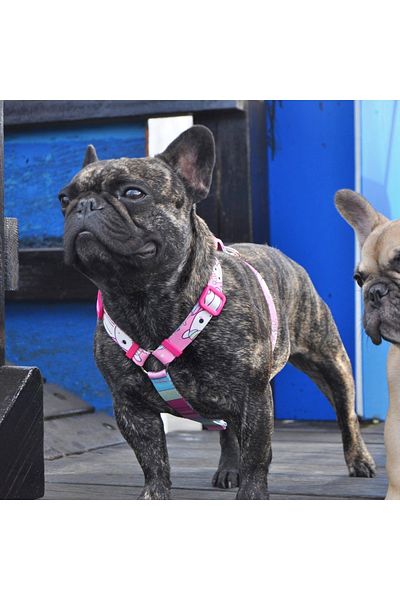 Dogness Unicorn Pink H Type Chest Collar