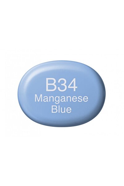 Copic Sketch Marker Pen B34