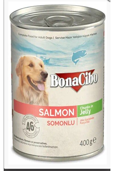 BonaCibo Jöleli Somonlu Yaş Konserve Yetişkin Köpek Maması 4 Adet