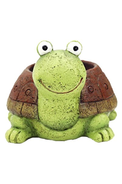 KAKTÜS JACK Hediyelik Taş Kaplumbağa Saksı Sukulent