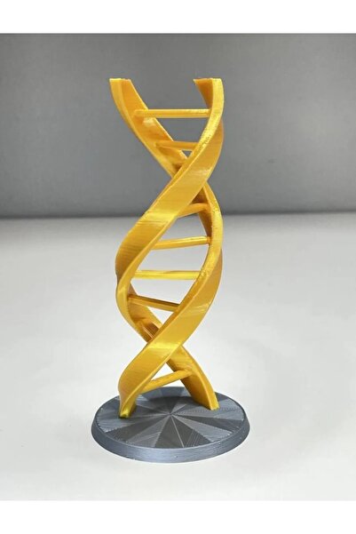 TuransoyCraft Dna Modeli Sarmal
