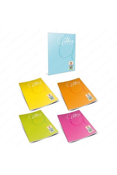 Bigpoint Gıpta Mıca A4 60/0 Notebook