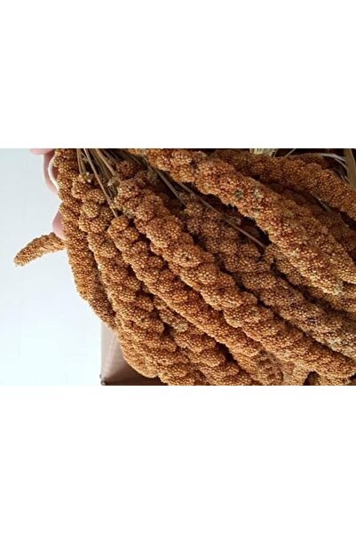 Vivid Taze Mahsul Dal Darı 1 Kg