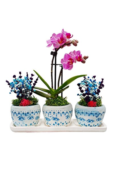 çiçekseli Bodrum Serisi Mini Mor Orkide Şoklanmış Cipso Ve Kurutulmuş Lavanta...