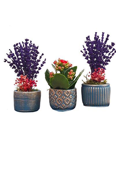 çiçekseli Kalanchoe Ve Lavanta Bakır Mavi Trio Beton Set Saksıda & Hediye Çiçek Seti Salon Cicegi