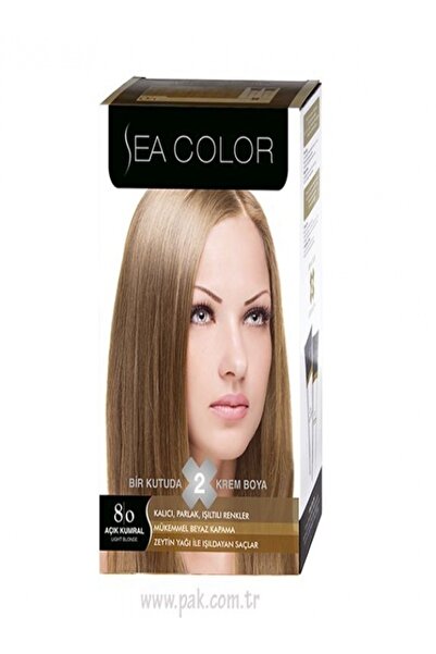 Sea Color Açık Karamel Set Boya 8.0